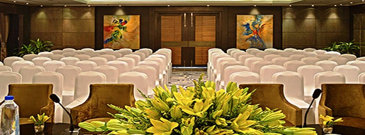 253/Fortune Inn Grazia - Ghaziabad 04.jpg